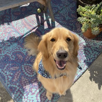 Bark N Fetch - Pet Groomers Near Me - Huntington Beach, California