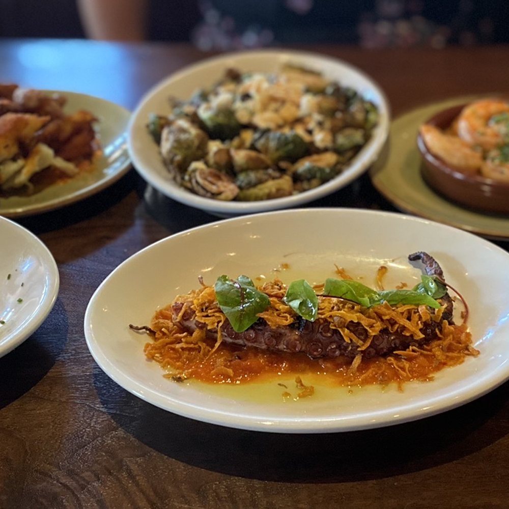 Gypsy Kitchen - Tapas Spread - Patatas Bravas, Brussel sprouts, garlic shrimp, mushroom toast, grilled octopus (disgusting) and Skirt Steak - Spanish Near Me - Atlanta, Georgia Gypsy Kitchen - Tapas Spread - Patatas Bravas, Brussel sprouts, garlic shrimp, mushroom toast, grilled octopus (disgusting) and Skirt Steak - Spanish Near Me - Atlanta, Georgia