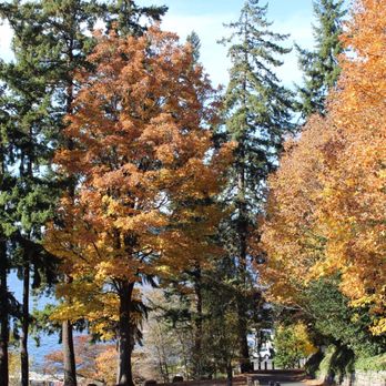 Waverly Beach Park - Parking - Parks Near Me - Kirkland, Washington Waverly Beach Park - Parking - Parks Near Me - Kirkland, Washington