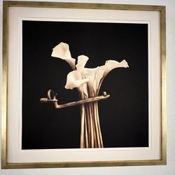 Stephanie's Art Gallery & Custom Picture Framing - Liria de Mexico, handmade Japanese rice paper . Edition AP/5