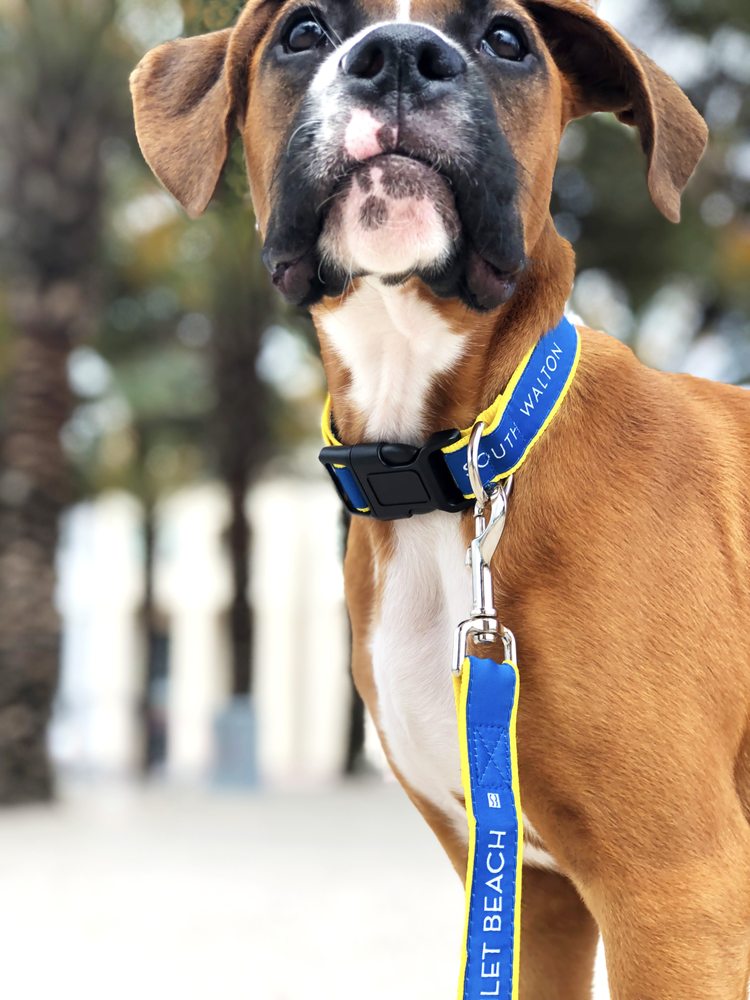 South Walton Florida Visitor Center