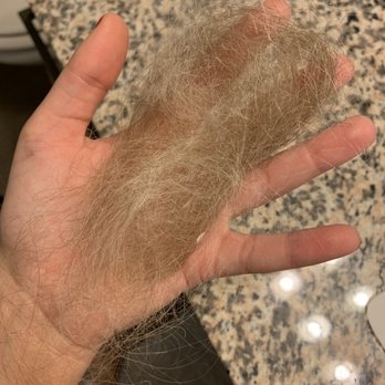 Salon IVO - 12 hours post hair dye, all my hair started falling out - Hair Salons Near Me - Austin, Texas Salon IVO - 12 hours post hair dye, all my hair started falling out - Hair Salons Near Me - Austin, Texas