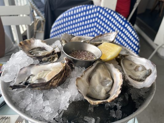 The Oyster Inn by null