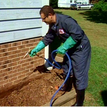 Pestguard - Rodent Control, Flea & Tick Control, Bed Bug Elimination - Pest Control Near Me - Sarasota, Florida Pestguard - Rodent Control, Flea & Tick Control, Bed Bug Elimination - Pest Control Near Me - Sarasota, Florida