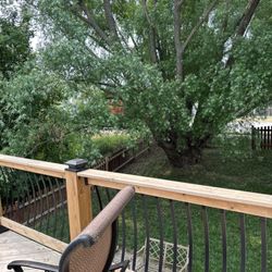 Mark's Tree Service - Before