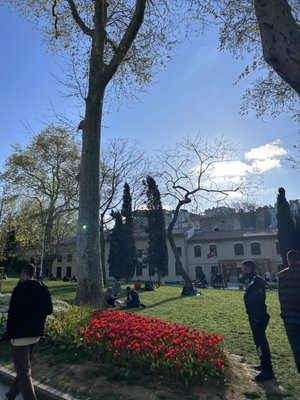 Gülhane Park by null