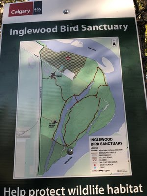 Inglewood Bird Sanctuary by null