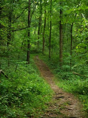 APPLE RIVER CANYON STATE PARK - Updated August 2024 - 19 Photos - 8763