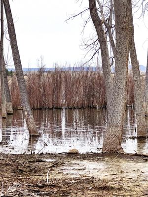 Chatfield State Park Campground by null