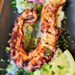 Octopus