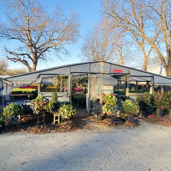 MJ Farm & Nursery - Greenhouse - Nurseries & Gardening Near Me - Keller, Texas MJ Farm & Nursery - Greenhouse - Nurseries & Gardening Near Me - Keller, Texas