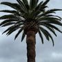 Photo of Goodview Tree Service