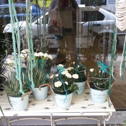 Blumen-Kaiser - Geschmackvoll