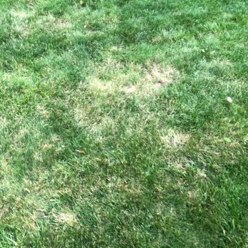 Mariani - Landscaping Near Me - Lake Bluff, Illinois Mariani - Landscaping Near Me - Lake Bluff, Illinois