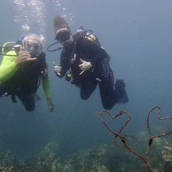 Banyan Tree Divers Maui - Schmoopy, sappy, love photo at Mala, Maui - Scuba Diving Near Me - Lahaina, Hawaii
