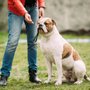 Photo of Truly Pawesome