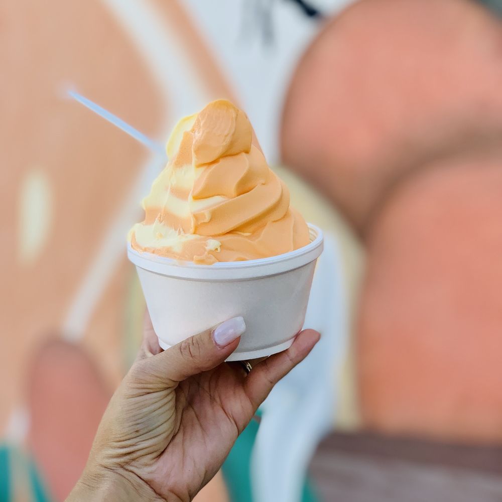 THE BEST 10 Ice Cream & Frozen Yogurt in Venice, FL Last Updated