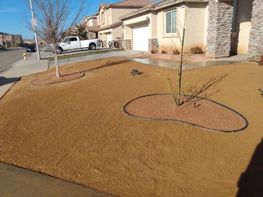 G Salinas Landscaping and Tree Services on Yelp