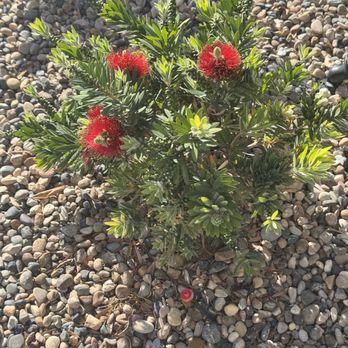 Centerpoint Landscaping - Landscaping Near Me - Henderson, Nevada