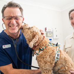 Cardiff Veterinary Hospital