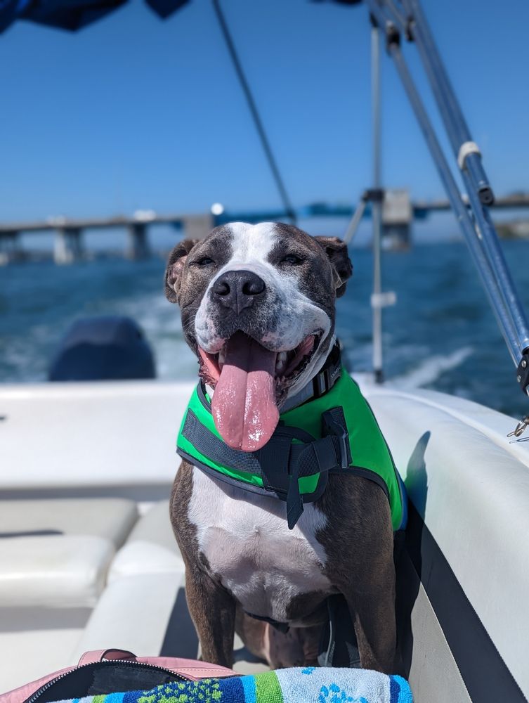 COMPASS BOAT RENTALS Updated September 2024 61 Photos 314 8th Ave W, Palmetto, Florida