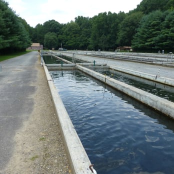 Buford Trout Hatchery - Fishing Near Me - Cumming, Georgia Buford Trout Hatchery - Fishing Near Me - Cumming, Georgia