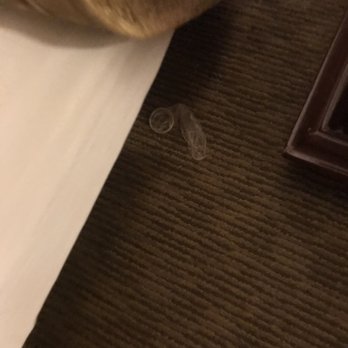 Bahia Resort Hotel - Used condom - San Diego, CA