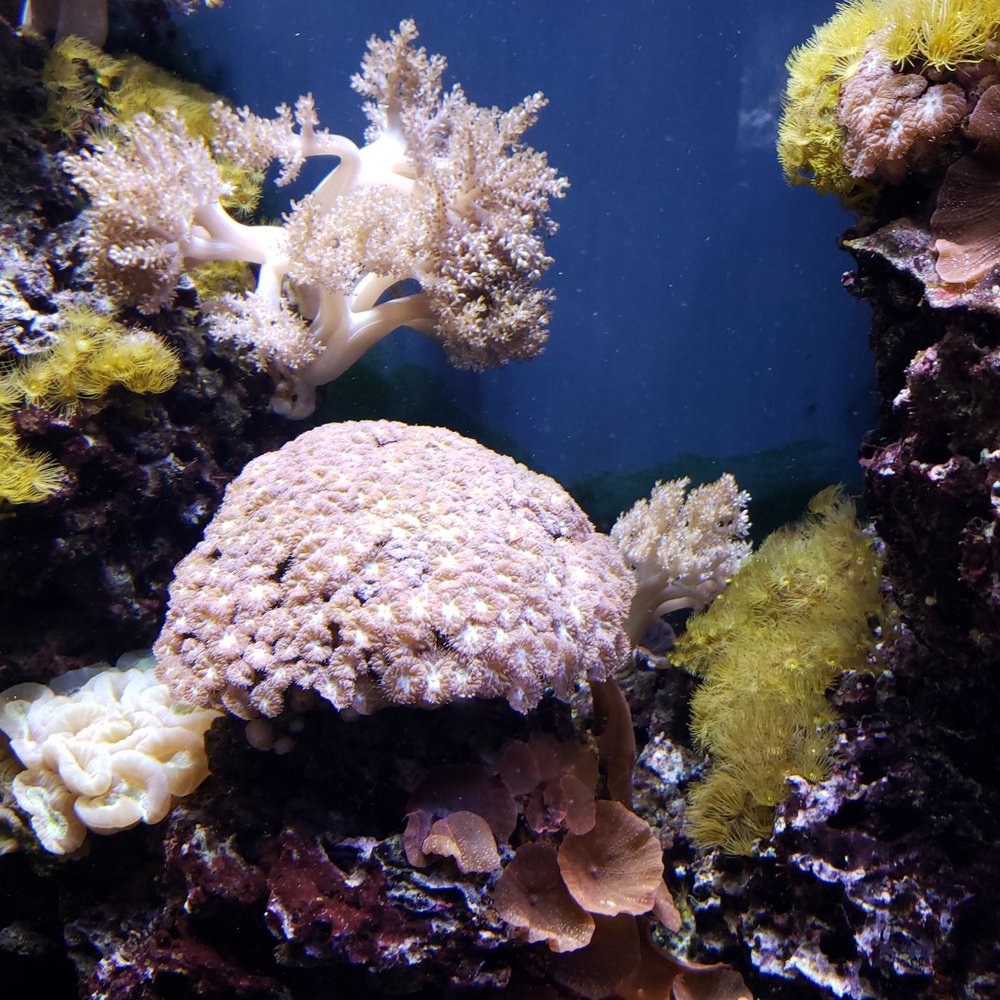 Aquarium Berlin - Aquariums Near Me - Berlin, BE Aquarium Berlin - Aquariums Near Me - Berlin, BE