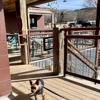 River Rock Roasting Co - Our dog on the patio - Coffee & Tea Near Me - La Verkin, Utah River Rock Roasting Co - Our dog on the patio - Coffee & Tea Near Me - La Verkin, Utah