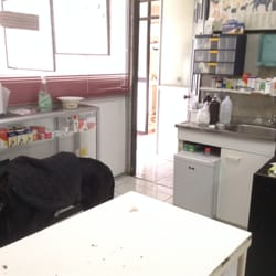 Veterinaria Leonardo Da Vinci - interior