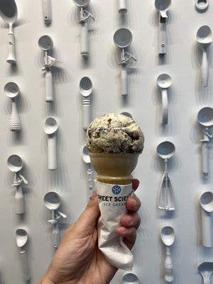 Sweet Science Ice Cream by null