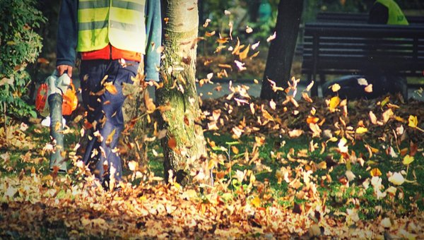 Yard Cleaning - Sam’s Total Lawn Care, your premier choice for yard clean up, maintenance, and general care services in Signal Mountain, TN. We understand the challenges of keeping your yard looking its best throughout the seasons. Whether you need a thorough spring clean-up, efficient leaf removal, or regular garden care, our team is equipped to handle all your yard maintenance needs with professionalism and care.
Why Choose Sam's Total Lawn Care?
Expertise in Local Environment: Our deep understanding of the Signal Mountain climate and foliage ensures that we provide the most effective yard clean up and maintenance services, tailored to your specific needs.
Comprehensive Service Range: From seasonal yard clean up to ongoing lawn maintenance and garden care, we offer a suite of services designed to keep your outdoor space pristine and healthy all year round.
Eco-Friendly Solutions: Committed to sustainability, we employ eco-friendly practices in all our yard maintenance services, ensuring your garden not only looks great but is also good for the environment.
Sam’s Total Lawn Care, your premier choice for yard clean up, maintenance, and general care services in Signal Mountain, TN. We understand the challenges of keeping your yard looking its best throughout the seasons. Whether you need a thorough spring clean-up, efficient leaf removal, or regular garden care, our team is equipped to handle all your yard maintenance needs with professionalism and care.
Why Choose Sam's Total Lawn Care?
Expertise in Local Environment: Our deep understanding of the Signal Mountain climate and foliage ensures that we provide the most effective yard clean up and maintenance services, tailored to your specific needs.
Comprehensive Service Range: From seasonal yard clean up to ongoing lawn maintenance and garden care, we offer a suite of services designed to keep your outdoor space pristine and healthy all year round.
Eco-Friendly Solutions: Committed to sustainability, we employ eco-friendly practices in all our yard maintenance services, ensuring your garden not only looks great but is also good for the environment. Yard Cleaning - Sam’s Total Lawn Care, your premier choice for yard clean up, maintenance, and general care services in Signal Mountain, TN. We understand the challenges of keeping your yard looking its best throughout the seasons. Whether you need a thorough spring clean-up, efficient leaf removal, or regular garden care, our team is equipped to handle all your yard maintenance needs with professionalism and care.
Why Choose Sam's Total Lawn Care?
Expertise in Local Environment: Our deep understanding of the Signal Mountain climate and foliage ensures that we provide the most effective yard clean up and maintenance services, tailored to your specific needs.
Comprehensive Service Range: From seasonal yard clean up to ongoing lawn maintenance and garden care, we offer a suite of services designed to keep your outdoor space pristine and healthy all year round.
Eco-Friendly Solutions: Committed to sustainability, we employ eco-friendly practices in all our yard maintenance services, ensuring your garden not only looks great but is also good for the environment.
Sam’s Total Lawn Care, your premier choice for yard clean up, maintenance, and general care services in Signal Mountain, TN. We understand the challenges of keeping your yard looking its best throughout the seasons. Whether you need a thorough spring clean-up, efficient leaf removal, or regular garden care, our team is equipped to handle all your yard maintenance needs with professionalism and care.
Why Choose Sam's Total Lawn Care?
Expertise in Local Environment: Our deep understanding of the Signal Mountain climate and foliage ensures that we provide the most effective yard clean up and maintenance services, tailored to your specific needs.
Comprehensive Service Range: From seasonal yard clean up to ongoing lawn maintenance and garden care, we offer a suite of services designed to keep your outdoor space pristine and healthy all year round.
Eco-Friendly Solutions: Committed to sustainability, we employ eco-friendly practices in all our yard maintenance services, ensuring your garden not only looks great but is also good for the environment.