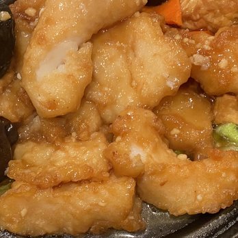 Dragon Terrace - Rock Cod and Bean Curd Clay Pot - Chinese Near Me - Hercules, California Dragon Terrace - Rock Cod and Bean Curd Clay Pot - Chinese Near Me - Hercules, California