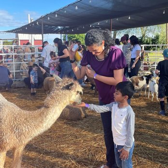 Vertuccio Farms - Farmers Market Near Me - Mesa, Arizona