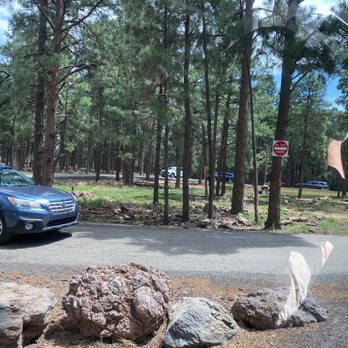 Bearizona - Basically a car show. - Zoos Near Me - Williams, Arizona