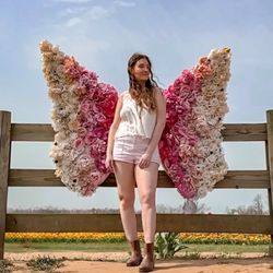 Holland Ridge Farms - Holland Ridge Farms Bike Photo Prop Tulip Wings -- expect lines for photo props
