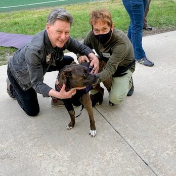 PetSmart - Max with Dads. Max is an Ambassador Dog with SAFE HUMANE CHICAGO 2021 - Pet Stores Near Me - Chicago, Illinois