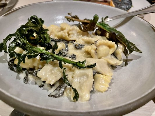 Charlie Bird by null