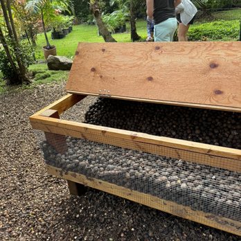 Tropical Farms Macadamia Nut - Specialty Food Near Me - Kaneohe, Hawaii Tropical Farms Macadamia Nut - Specialty Food Near Me - Kaneohe, Hawaii