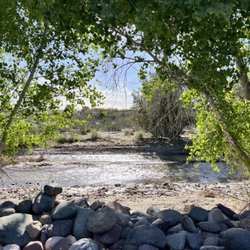 Desert Cypress Trailer Ranch - Our view of the river from our site.