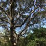 Photo of Jake's Landscape & Tree Services