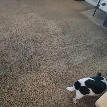 Stanley Steemer - This is our living room carpet immediately after Stanley Steemer cleaned the carpet - Carpet Cleaning Near Me - Huntsville, Alabama Stanley Steemer - This is our living room carpet immediately after Stanley Steemer cleaned the carpet - Carpet Cleaning Near Me - Huntsville, Alabama