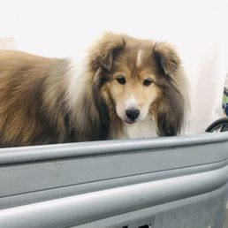 Abby in the tub. Abby in the tub.