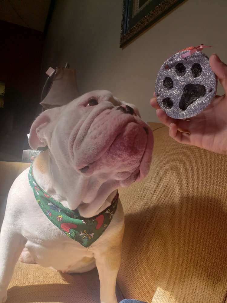 PARKWAY PET RESORT 2826 Franklin St, Lakeland, Florida Pet Sitting