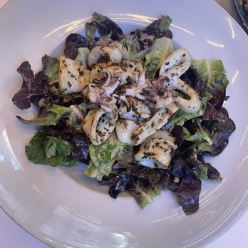 Cafe Santorini - Calamari Salad - Italian Near Me - Pasadena, California