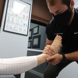 Movement Spine And Sport