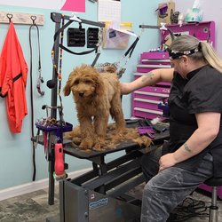Creative Paws Pet Grooming