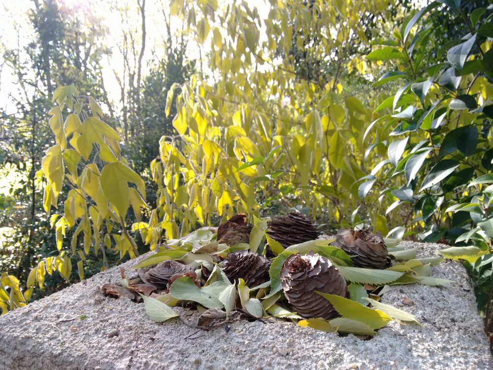 Quinta de Torre Arias