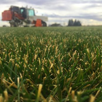 McKellip Sod Farm - Nurseries & Gardening Near Me - Nampa, Idaho McKellip Sod Farm - Nurseries & Gardening Near Me - Nampa, Idaho