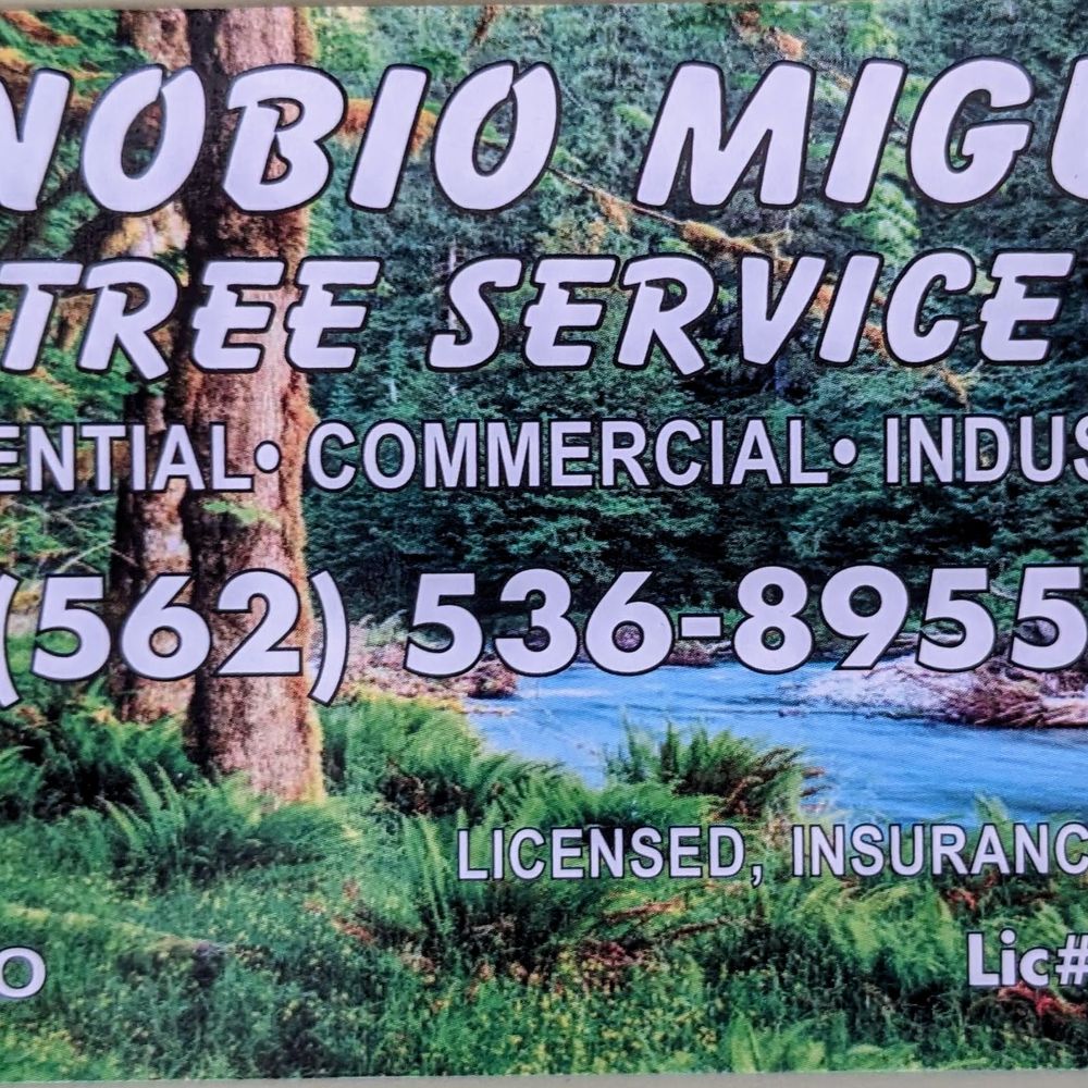 License #106910 does not exist. Check CSLB.ca.gov License #106910 does not exist. Check CSLB.ca.gov